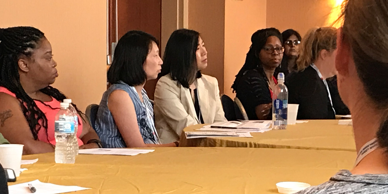Mandy Lee moderating 2018 AALL Panel